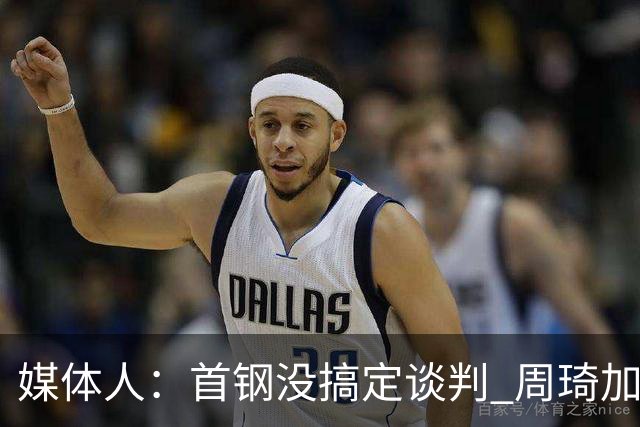 媒体人：首钢没搞定谈判 周琦加盟可能要黄